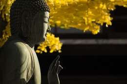 Vô nhân tâm không chỉ là phạm trù tâm lý học, mà còn là chìa khóa mở cánh cửa đạo đức Phật giáo: đạo đức của tự chủ và của chánh niệm