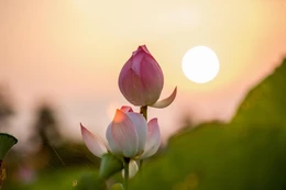 Thân miệng không tương ưng