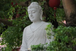 Ảnh: Trung Thắng