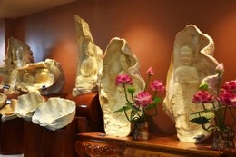 Tượng Phật, Bồ-tát trên vỏ ốc tai tượng 