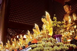 Ảnh: Bảo Toàn