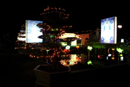 Hoa đăng, ca nhạc mừng xuân Quý Tỵ