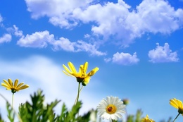 Những người biết tu tập là người biết nuôi dưỡng thiện tâm.