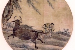 Tìm trâu trong chuyển đổi số