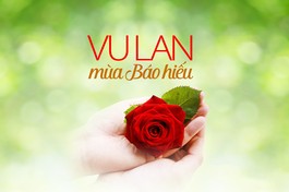 Thiết kế: Tống Viết Diễn/BGN