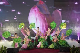 Văn nghệ giao lưu văn hóa Việt - Hàn