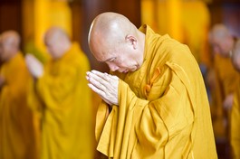 Một hành giả chí thành đảnh lễ Tam bảo trong thời khóa công phu chiều tại Việt Nam Quốc Tự - Ảnh: Quảng Đạo/ BGN