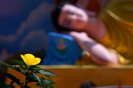 Ảnh: Bảo Toàn/BGN