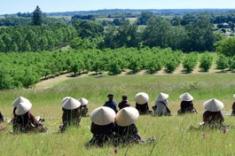 Đức Phật và Tăng đoàn đệ tử của Ngài là hình ảnh sống động nhất, hoàn hảo nhất cho lối sống thân tâm lành mạnh - Ảnh: Làng Mai