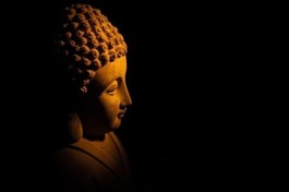 Từ những trang kinh: Học hạnh không kiêu ngạo và nói ít