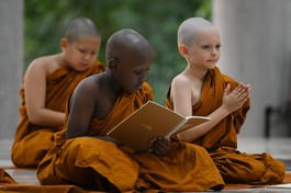 Oai nghi là một trong những biểu hiện của năng lượng chánh niệm của người xuất gia