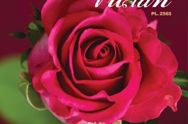 Ấn phẩm Liễu Quán số 24: Di sản Phật giáo Chăm-pa vùng Bắc Hải Vân