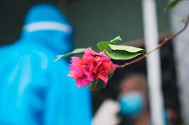 Ảnh: Ngô Trần Hải An