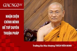 [Trực tuyến] Trưởng lão Hòa thượng Viên Minh: "Nhận diện chính mình để tuỳ duyên thuận pháp" 