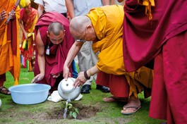 Chúng ta phải hành động để bảo vệ thiên nhiên và hành tinh này, đó là ngôi nhà duy nhất của chúng ta