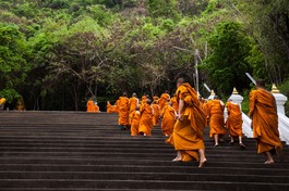 Cần xác quyết rằng đạo nghiệp, tức là sự nghiệp ở trong đạo, sự nghiệp của người tu chính là thành tựu giác ngộ, giải thoát...