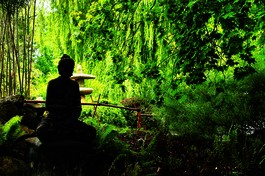 Hình chỉ mang tính minh họa