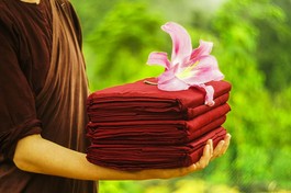 Ảnh chỉ mang tính minh họa