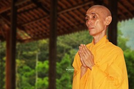 Hòa thượng Thích Tuệ Sỹ (1943-2023)