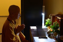 [TRỰC TUYẾN] Pháp thoại mới nhất của Đại lão Hoà thượng Thích Trí Quảng trong mùa gia hạnh Phổ Hiền