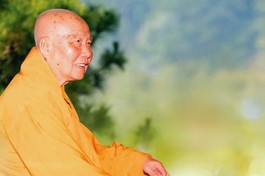 Mùa Xuân dưới cái nhìn của thiền sư