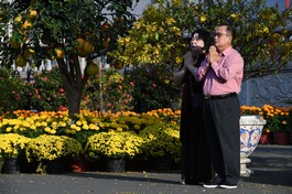 Hình ảnh chỉ mang tính minh họa - Ảnh: Thế Phong