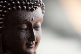 Bài trên Báo Giác Ngộ số 1217 