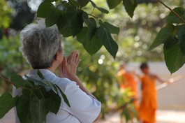 Người trí không vì lời khen chê mà tâm dao động...
