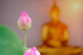 Những hạt giống (chủng tử) của lòng từ vốn có sẵn trong tâm chúng sinh...