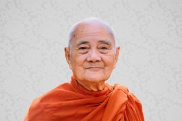 Trưởng lão Hòa thượng Thích Thiện An (1927-2025) 