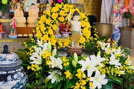 Ngắm lễ đài Đức Phật đản tại các tự viện