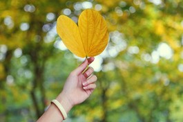 Với tôi nắng luôn đẹp nhất ở nơi cần nhiều hy vọng… Ảnh minh họa