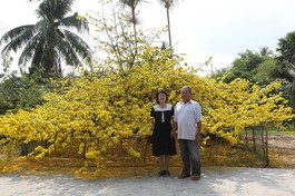 Tác giả và ông Ba Đối bên cây mai