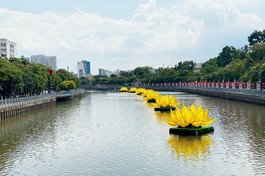 7 đóa sen vàng vừa được hạ thủy trên kênh Nhiêu Lộc - đoạn trước Quan Âm tu viện, quận Phú Nhuận - Ảnh: QÂTV