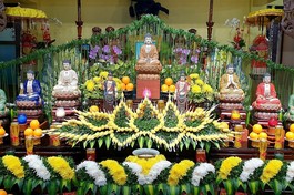 Chùa Bửu Đà khai đàn Dược Sư cầu an đầu Xuân Nhâm Dần