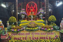 Trang nghiêm lễ đài Phật đản tại chánh điện chùa Pháp Võ, huyện Nhà Bè