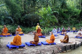 Chư Tăng, Phật tử thực tập thiền trong khóa tu "Sống ở chùa" tại khuôn viên thiền viện 