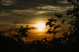 "Có bốn loại thức ăn giúp ích cho chúng sanh, khiến cho chúng sanh được tồn tại, được bảo hộ và nuôi lớn" - Ảnh: Phùng Anh Quốc