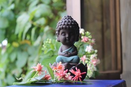 Ảnh: Như Danh/BGN