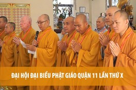 [Video] Đại hội đại biểu Phật giáo quận 11 lần thứ X, suy cử Ban Trị sự mới