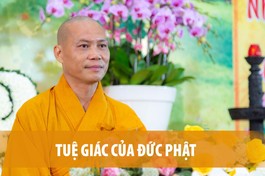 [Video] Thuyết giảng trực tuyến: Tuệ giác của Thế Tôn