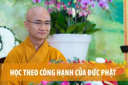 [Video] Thuyết giảng trực tuyến: Học theo công hạnh của Đức Phật