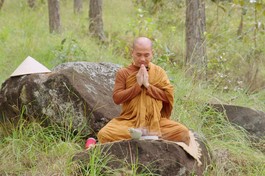 [TRỰC TUYẾN] Thầy Thích Minh Niệm: "Nhìn những mùa xuân đi"