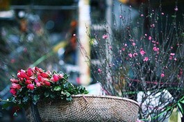 Tết của tôi: Tết và kỷ niệm