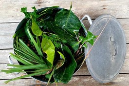 Nồi lá xông. Ảnh minh họa