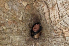 Sự xuất hiện của pho tượng ở vị trí này vẫn là điều bí ẩn - Ảnh: News