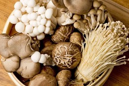 Các loại nấm - Ảnh minh họa