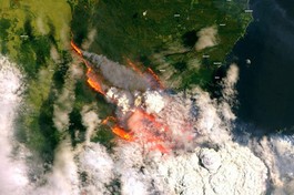 Hình ảnh vệ tinh về vụ cháy rừng ở Úc, năm 2019