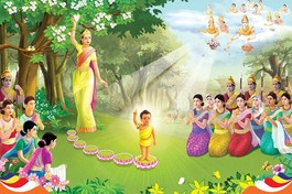 Cảm niệm ngày Phật đản sanh - Ảnh minh họa