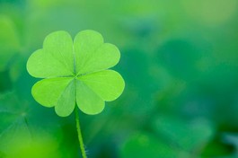 Làm tốt 10 điều này may mắn tự nhiên sẽ đến với bạn